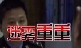 外网凶杀案爆料视频大全,外网凶杀案爆料视频大全深度解析